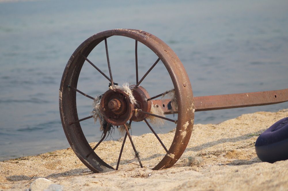 Photograph by Anna Dalinger