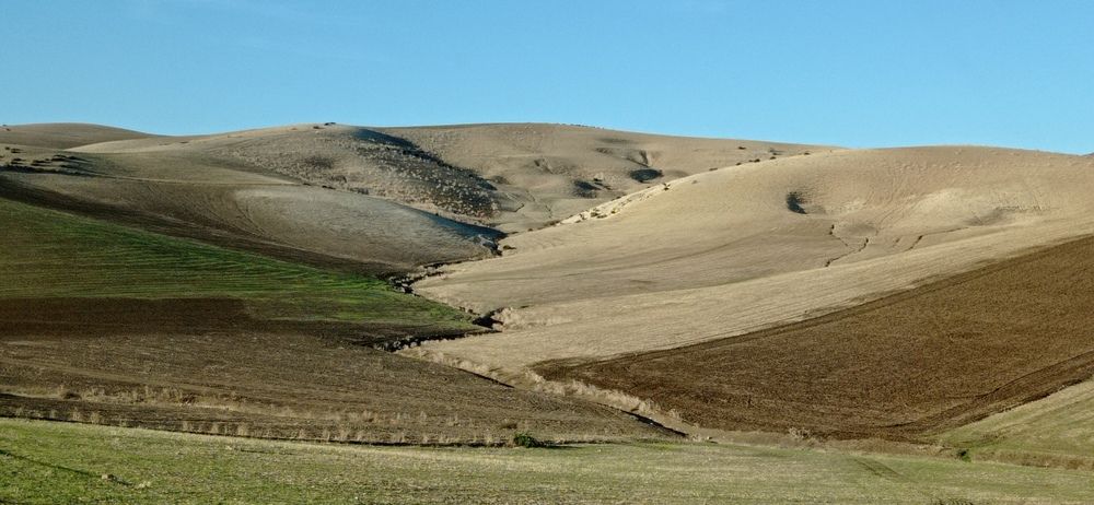 Photograph by Лариса Неудачина