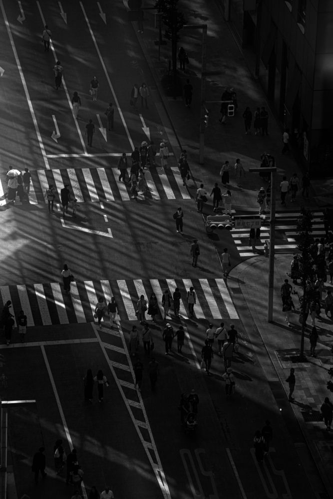 Фотография автора Kurouzu Setsuna