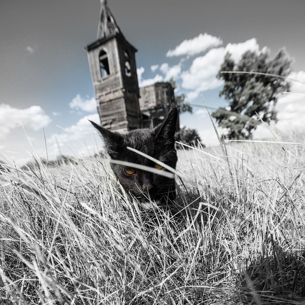 Photograph by Юрий Пузанов