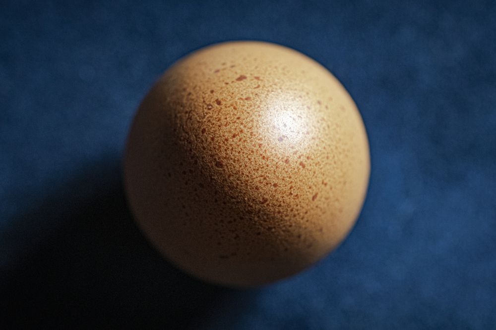 Photograph by Алексей Трубин