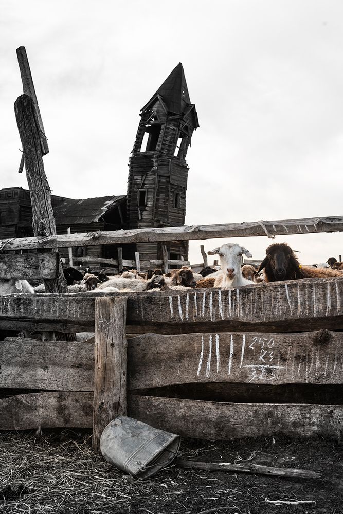 Photograph by Юрий Пузанов