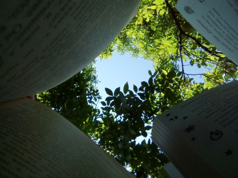 Photograph by Дарина Макарова