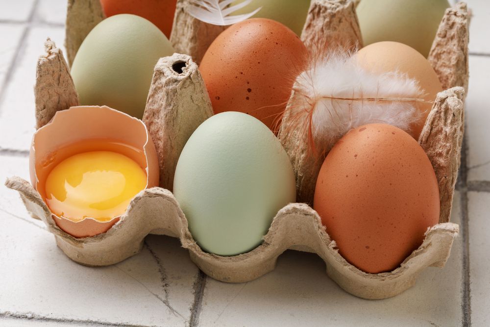 Фотография автора Мошко Виктор