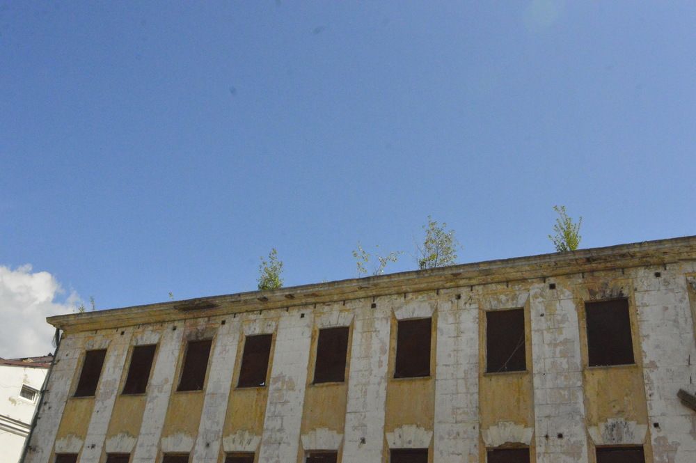 Фотография автора Клавдия Васильева