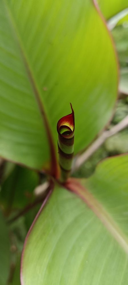 Фотография автора Abishek Abishek