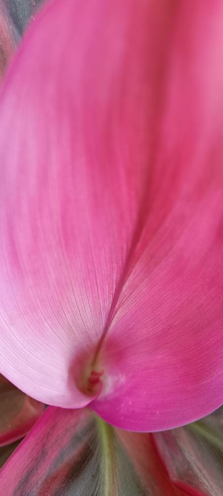 Фотография автора Abishek Abishek