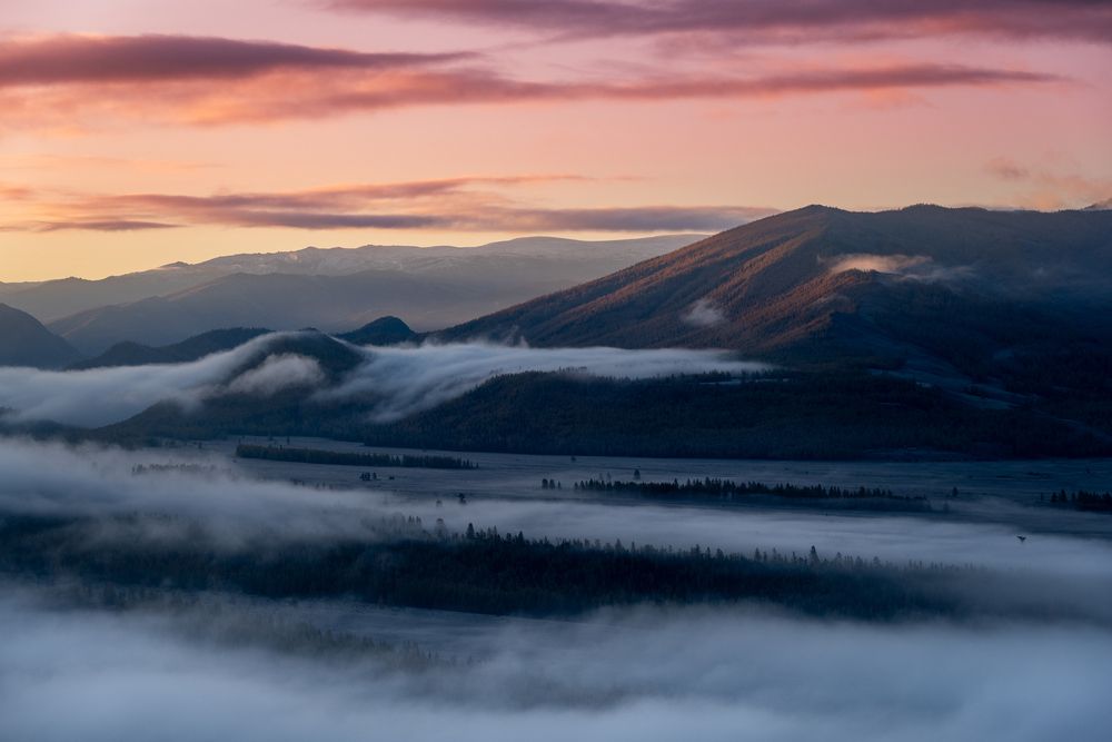 Photograph by Алексей