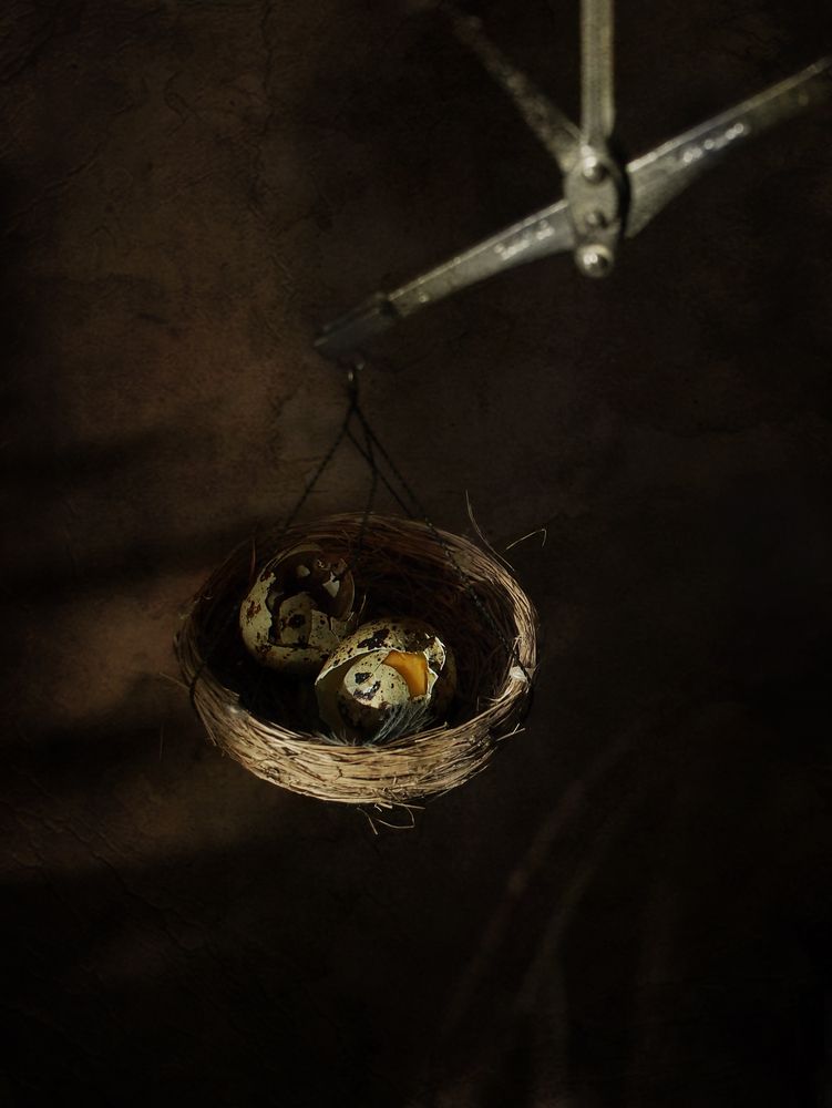 Фотография автора Svetlana Inyusheva