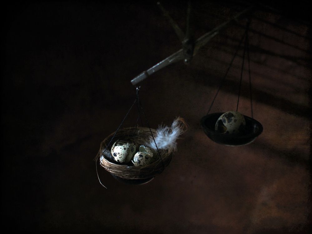 Фотография автора Svetlana Inyusheva