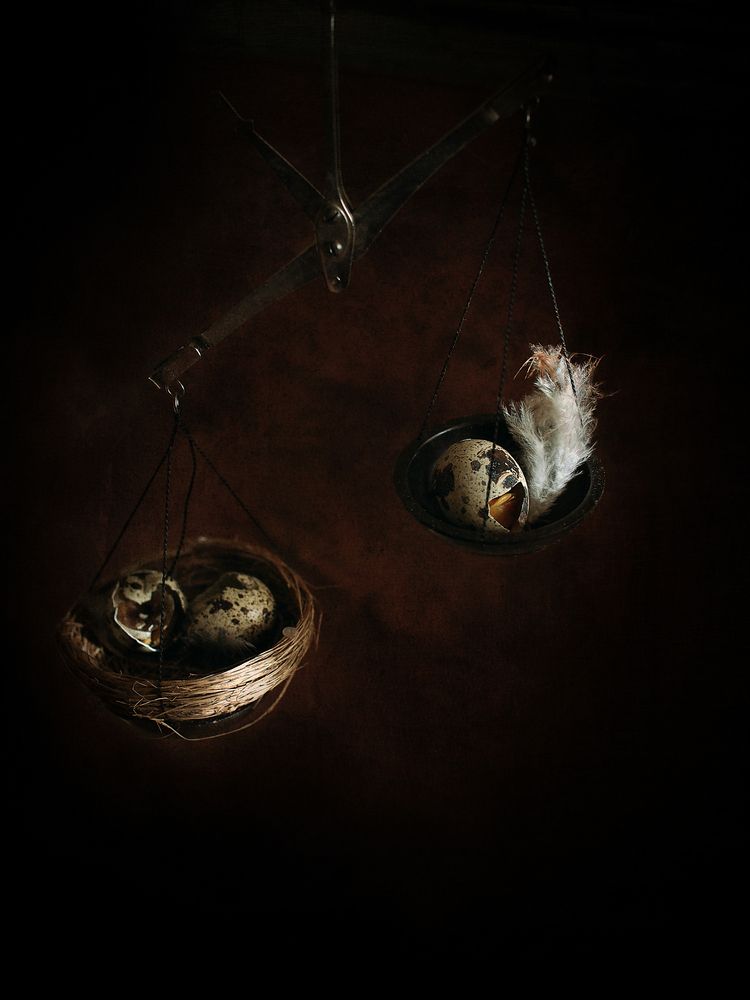 Фотография автора Svetlana Inyusheva