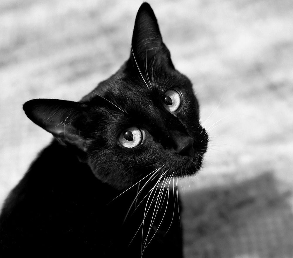Photograph by Галина Швыркова