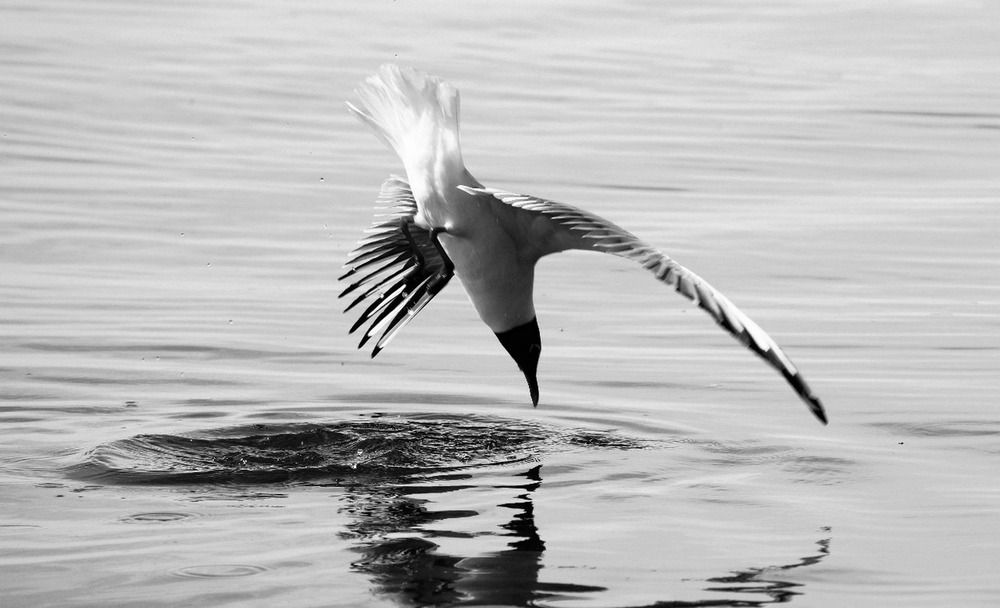 Фотография автора Галина Швыркова
