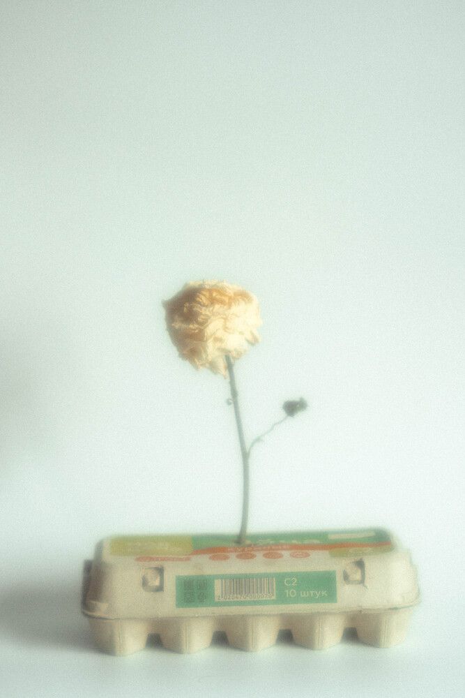 Photograph by Юлия Белоусова