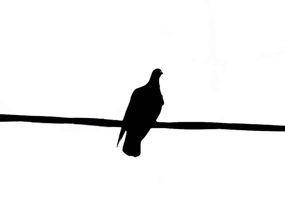 Photograph by Андрей Безгин