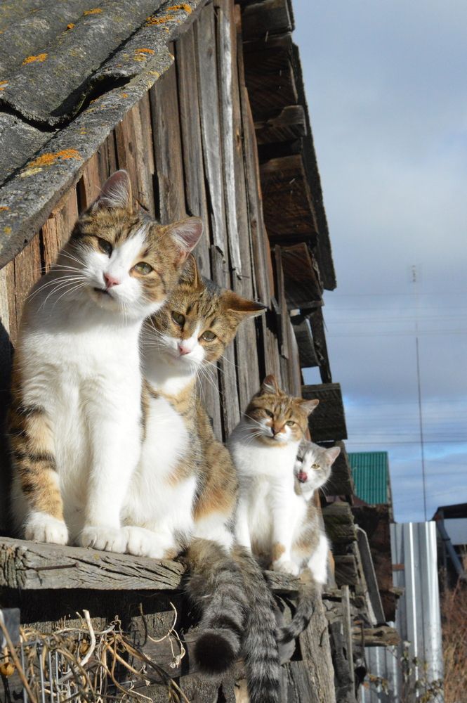 Photograph by Наталья Маслова