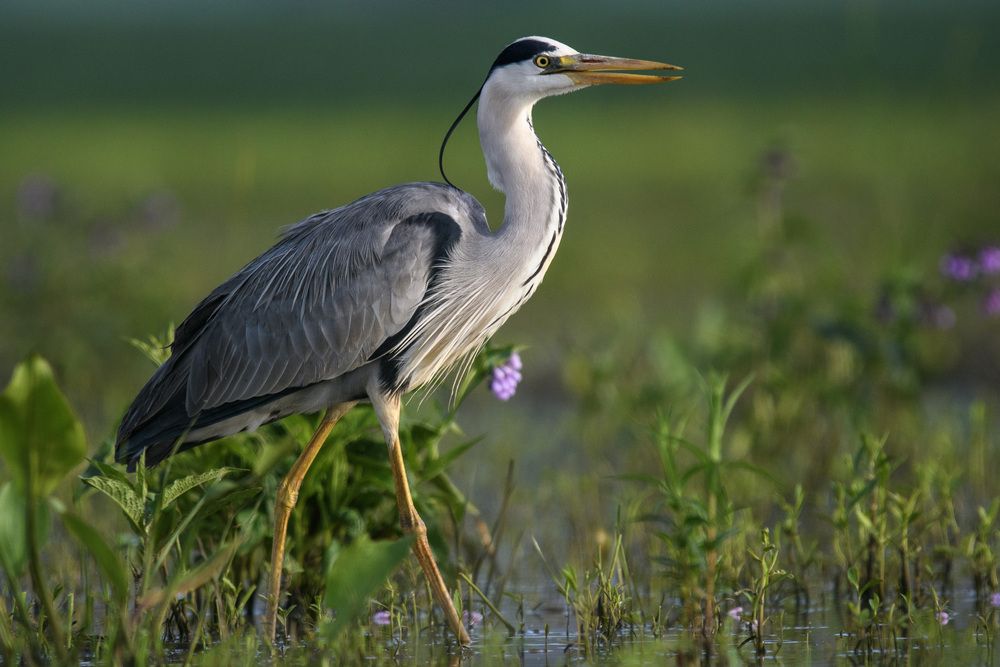 Photograph by Вячеслав Ладанов