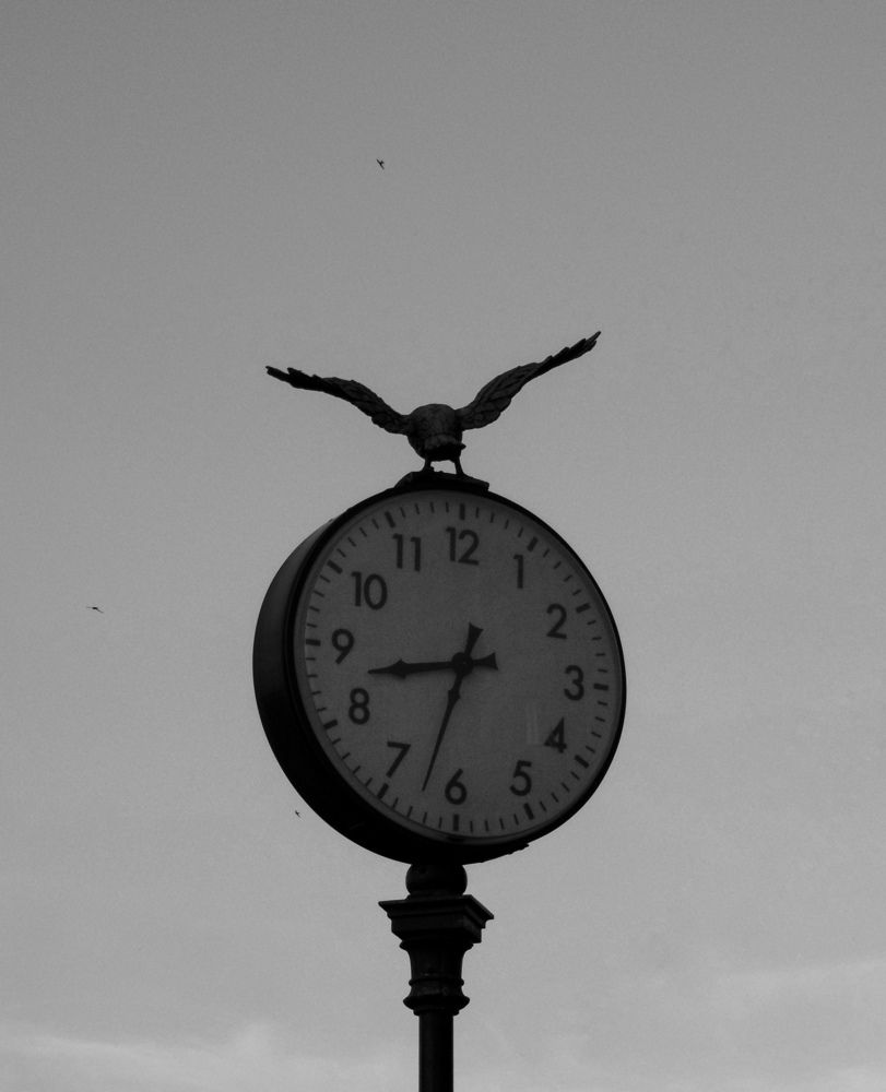 Фотография автора Анастасия Лукошкина