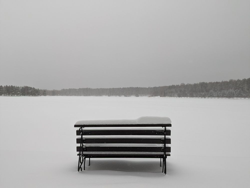 Фотография автора Dmitrii Shevchenko