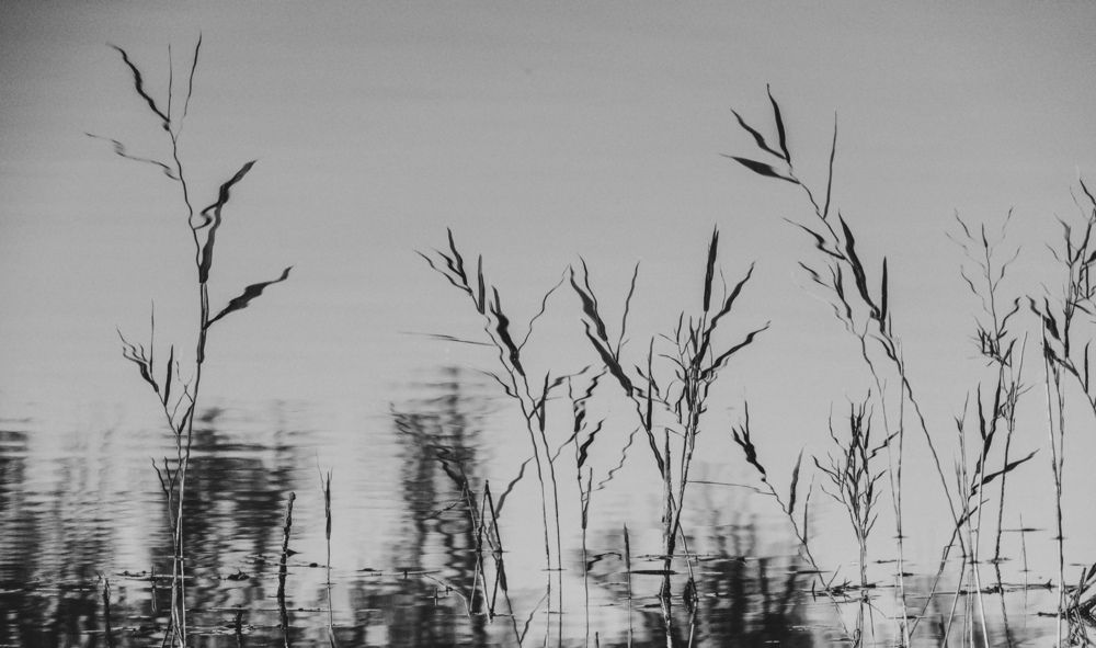 Photograph by Анастасия Лукошкина
