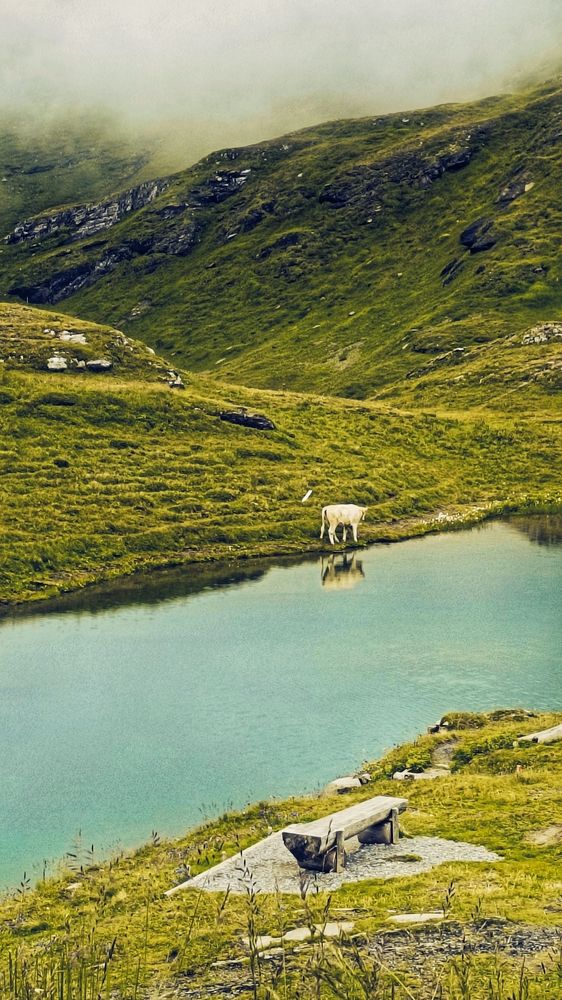 Photograph by Наталия Дроздова