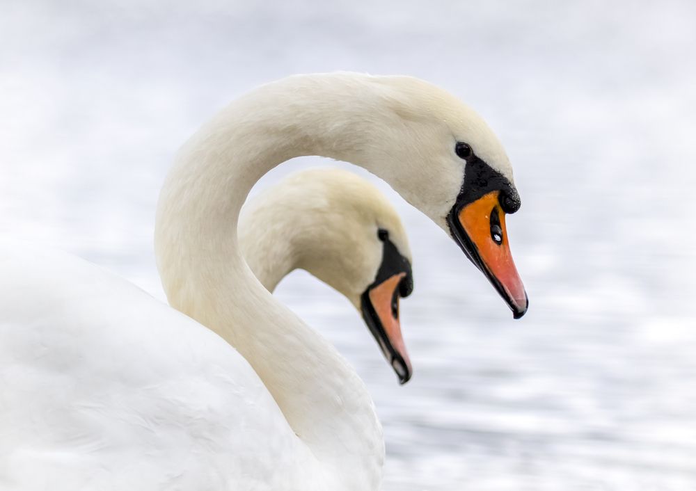 Photograph by Андрей Калинин