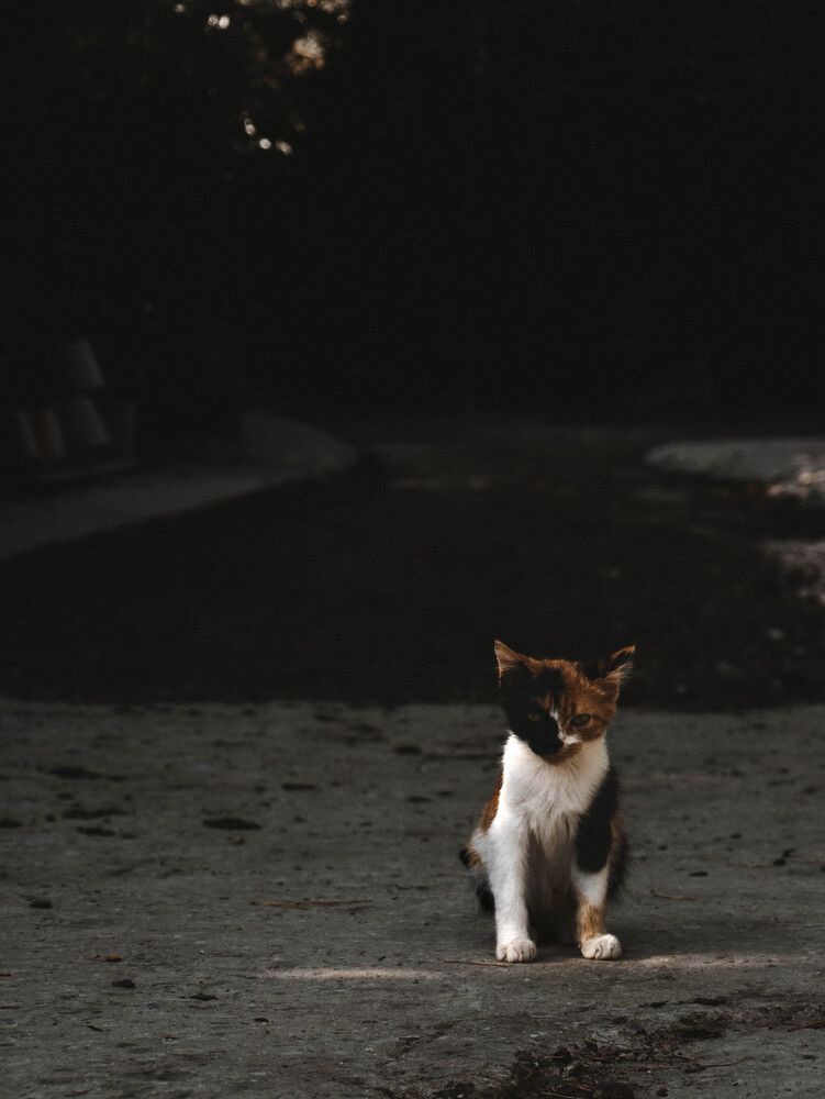 Photograph by Виктория Максюта