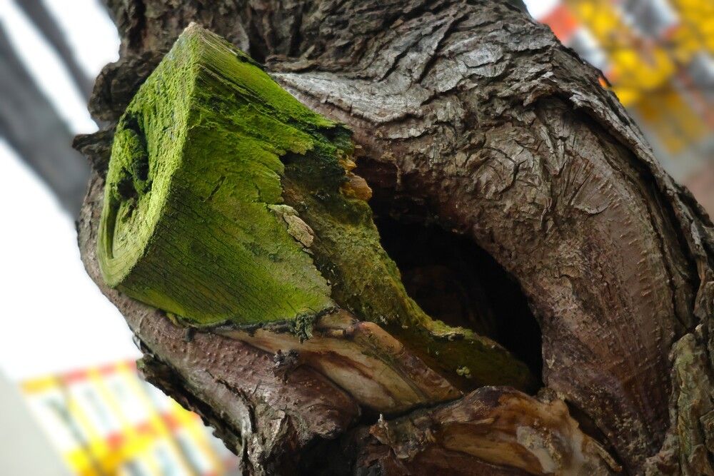 Photograph by Гагик Саркисян