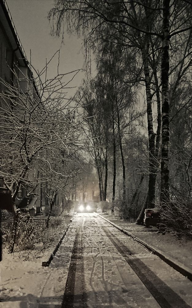 Фотография автора Марина Белунова