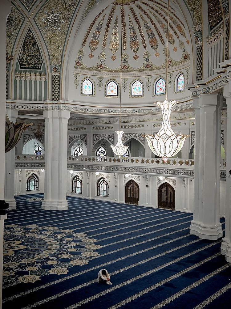 Photograph by Ольга Рыбина