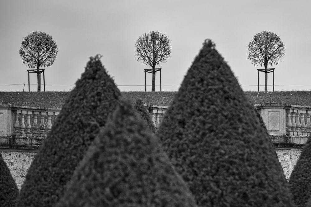 Photograph by Bakhtadze Dimitri