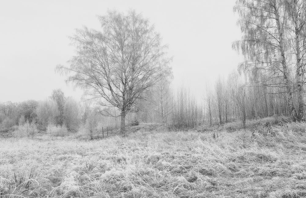 Photograph by Cергей Черныш