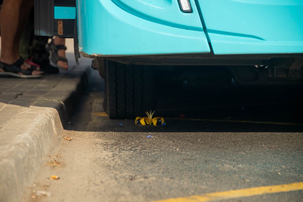 Фотография автора Евгений Шубин