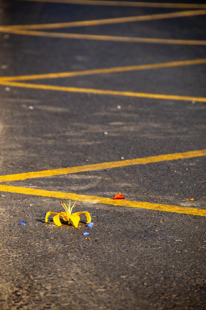 Фотография автора Евгений Шубин