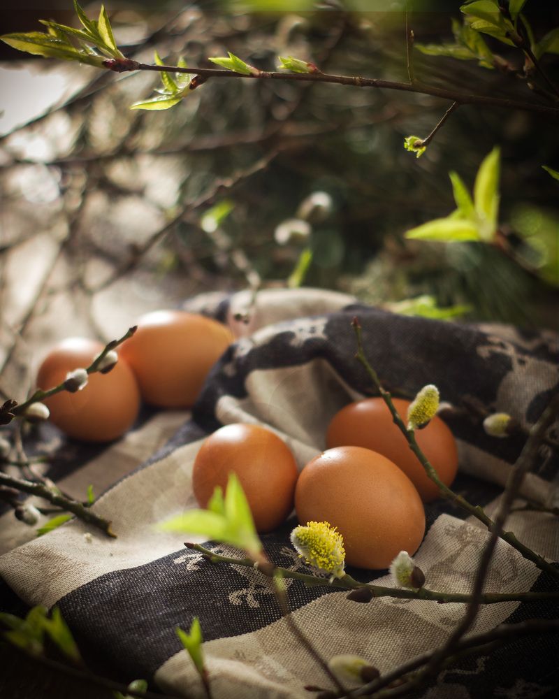 Photograph by Marina Lucenko