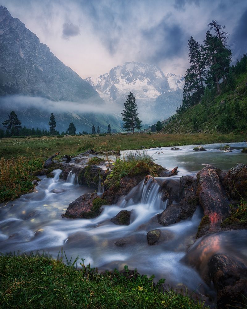 Photograph by Александр Хорошилов