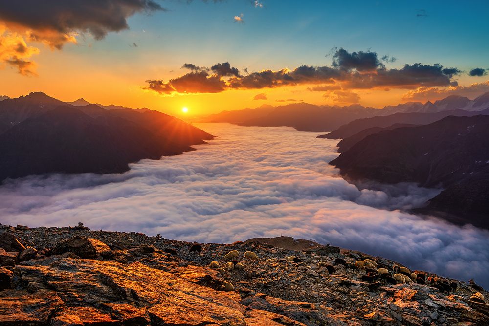 Photograph by Александр Хорошилов