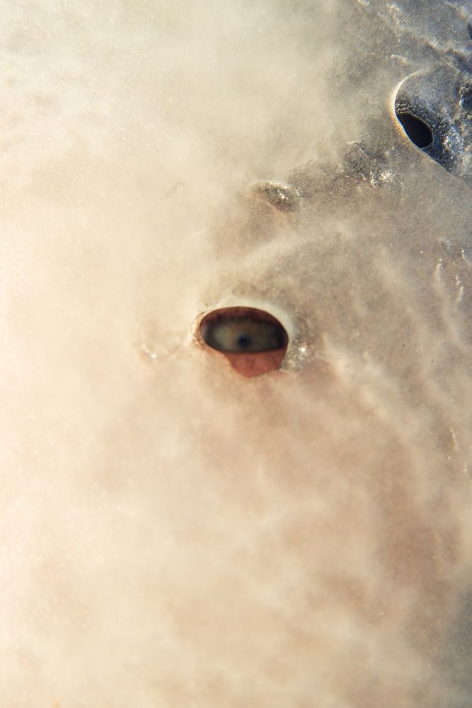 Photograph by Юлия Сысоева