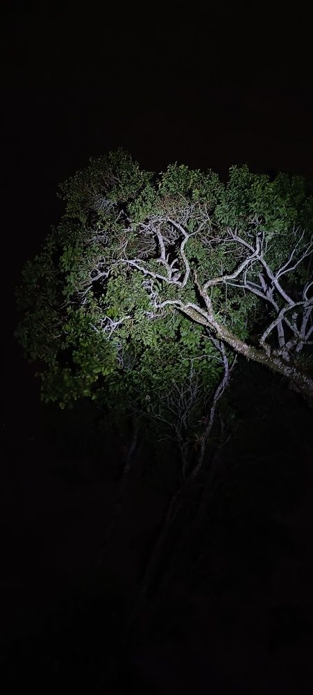 Photograph by Manuel Gutierrez