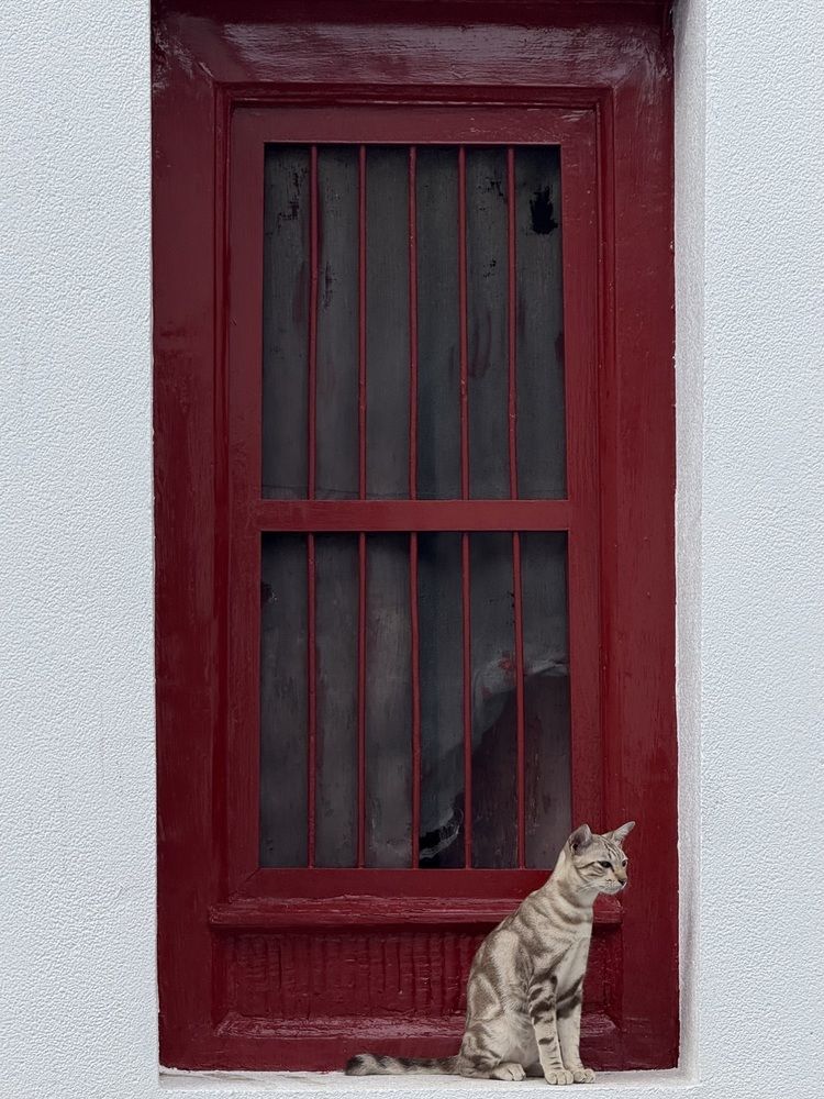 Photograph by Галина Матвеева