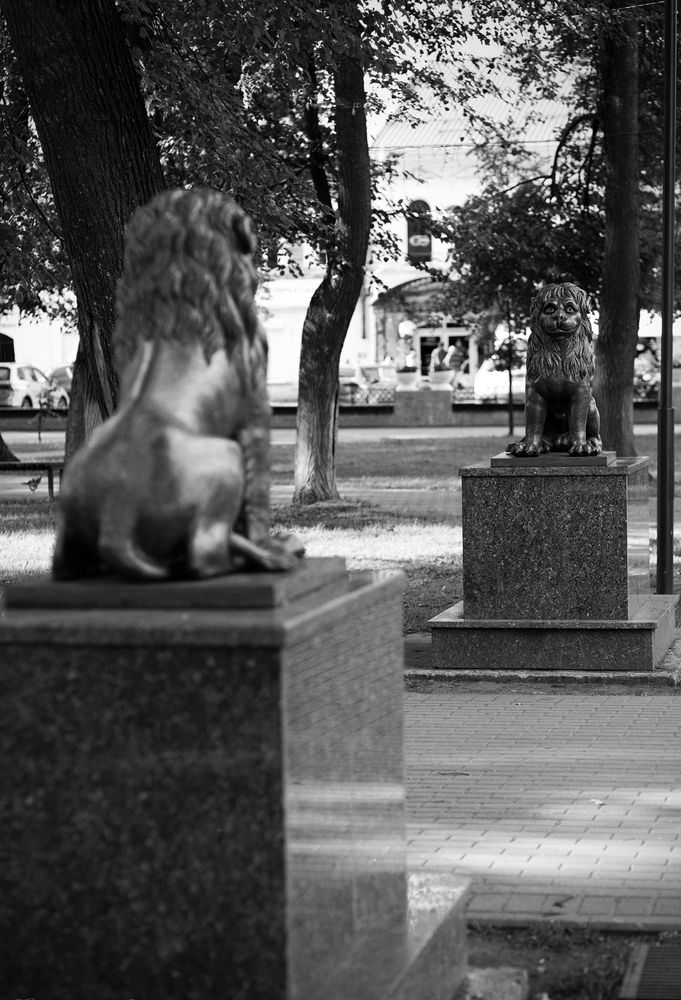 Photograph by Екатерина Одинцова