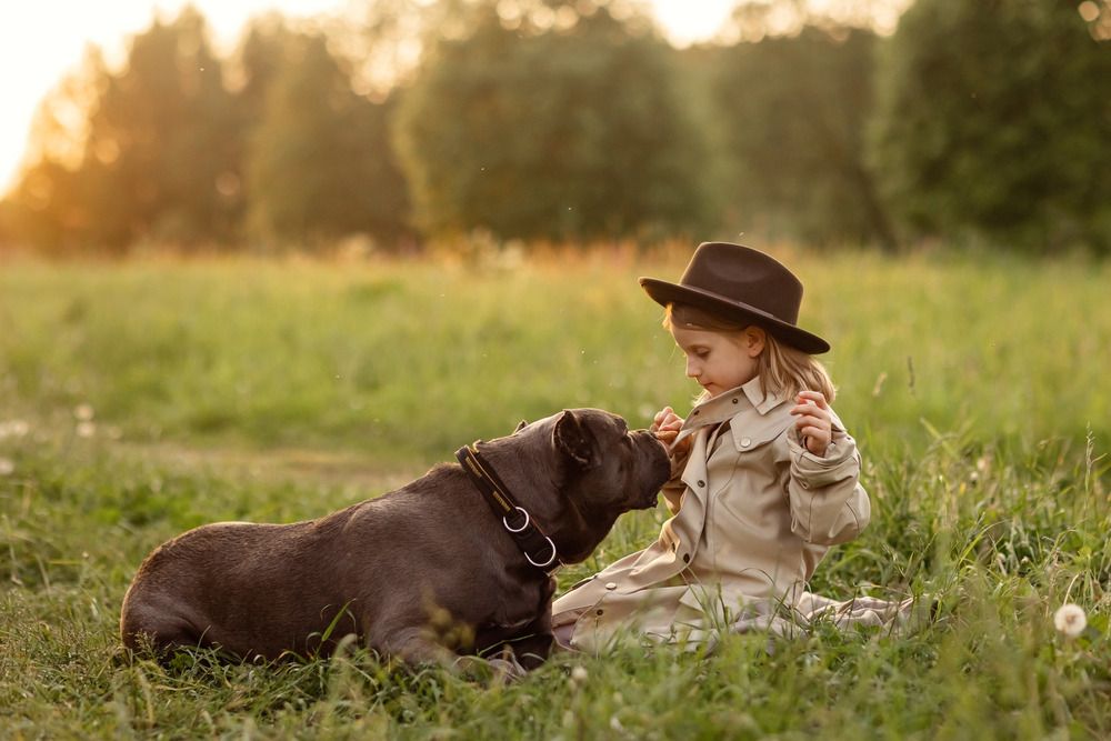 Photograph by Ипатьева Анна
