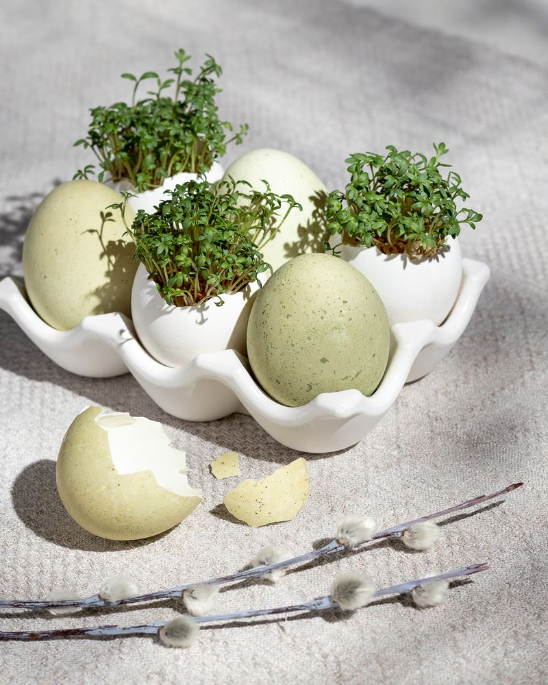 Photograph by Анна Сохрякова