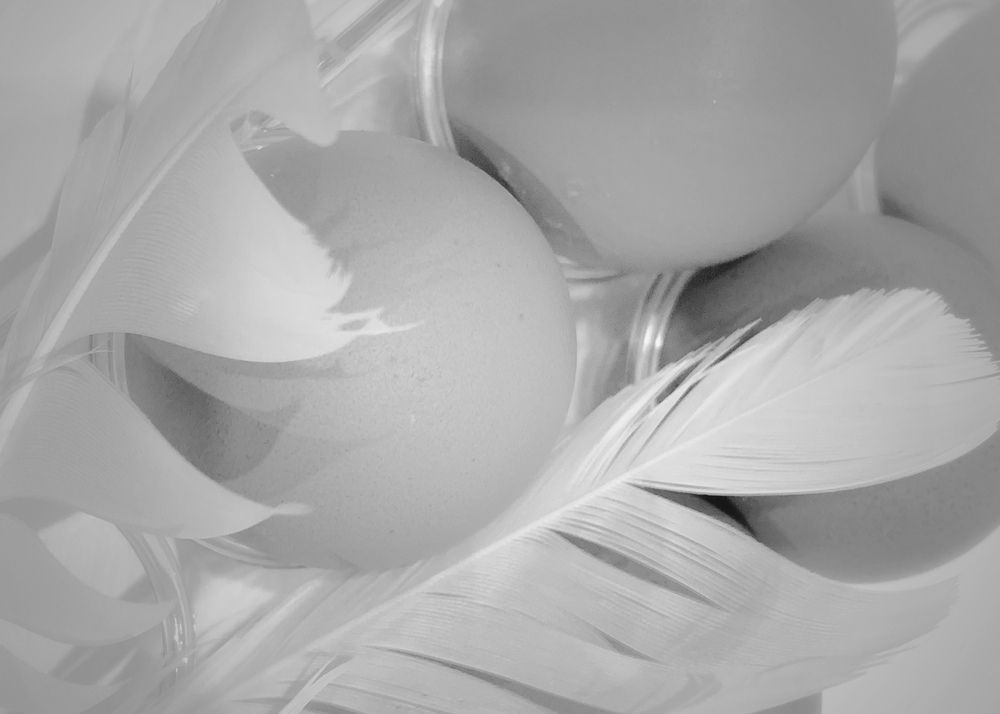 Photograph by Надежда Смирнова