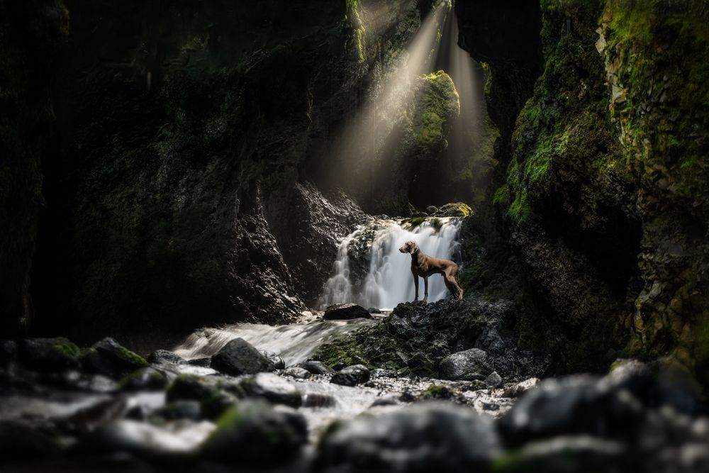 Фотография автора Marc Vandijck
