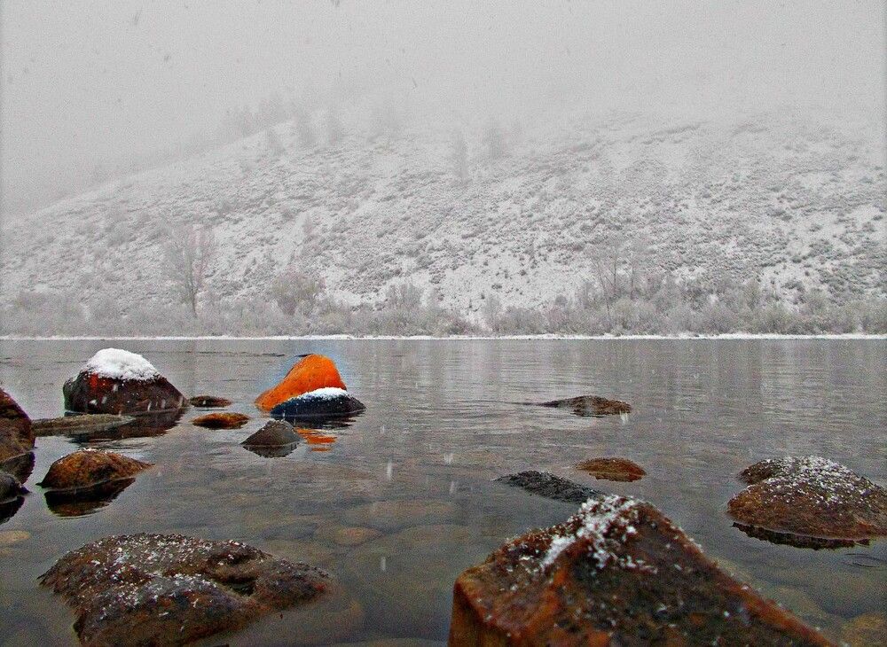 Photograph by Александр Прядко