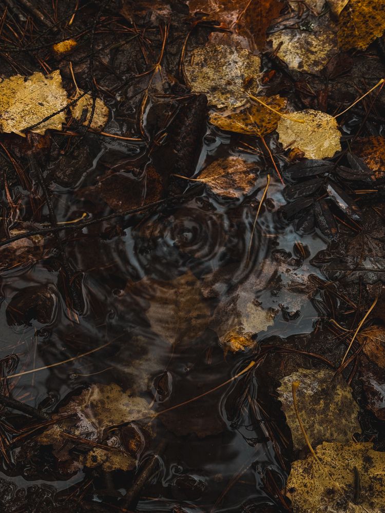 Photograph by Елена Михалева