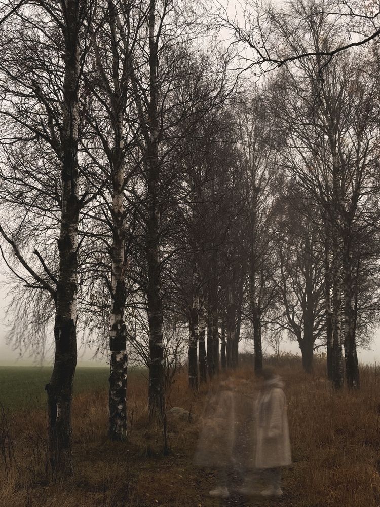 Photograph by Елена Михалева