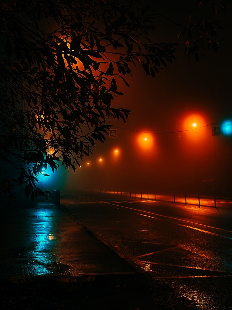 Photograph by Елена Михалева