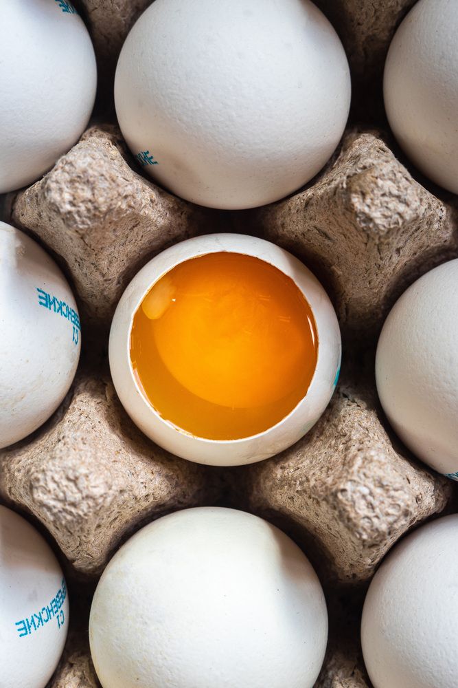 Photograph by Bogdan Tarasov